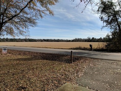 View from Front Yard