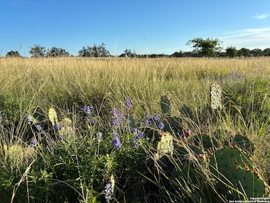 183 Lipan Loop, Harper, TX 78631 - photo 5