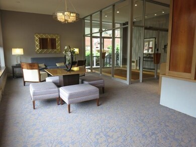 Hammond Park Condominiums unit 305, Chestnut Hill, MA 02467 - photo 5