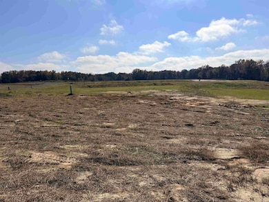 LOT 69 Jacobs Ridge Ln, Piperton, TN 38017 - photo 7