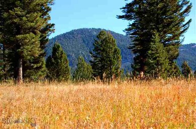 5249 Big Sky Spur Rd, Big Sky, MT 59716 - photo 6