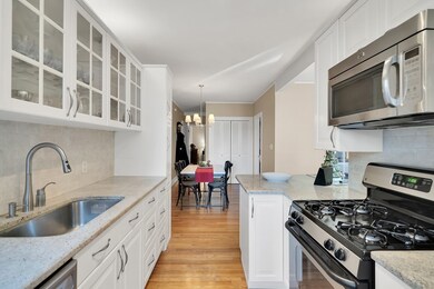 285 Harvard St unit 308, Cambridge, MA 02139 - photo 7
