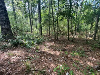 20 acres Mattie Ln, Purvis, MS 39475 - photo 5