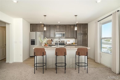 80 Mora Blvd unit 436-402, O'Fallon, MO 63368 - photo 3