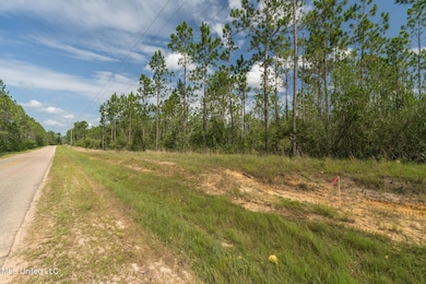Herman_Ladner_Road_Lot_3-3
