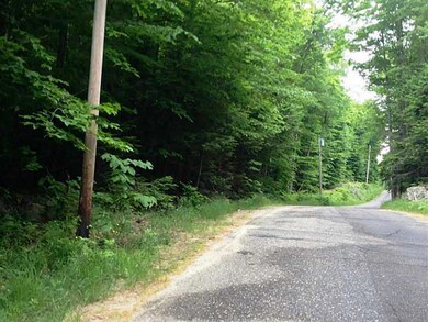 0 Bonney Rd unit 1145846, Sumner, ME 04270 - photo 3