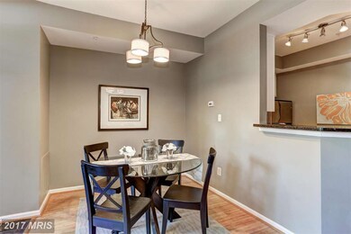 1313 Garden Wall Ct unit 808, Reston, VA 20194 - photo 6