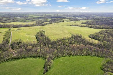 2-web-or-mls-DJI_0259 (2)