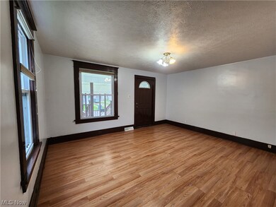 151 Perry St, Struthers, OH 44471 - photo 4