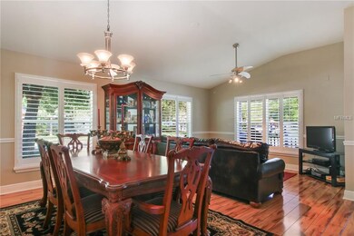 PLANTATION SHUTTERS THROUGHOUT