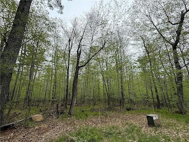 17595 Wood Crest Dr, Cable, WI 54821 - photo 5