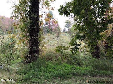 100 Krueger Rd, Coeymans, NY - photo 3