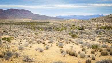 4500, Terlingua, TX 79852 - photo 2