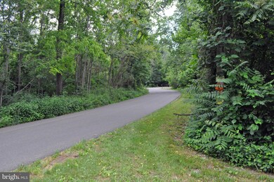 13104 Crest Hill Rd, Flint Hill, VA 22627 - photo 4