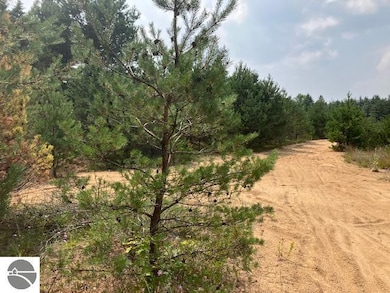 Parcel F 2 1 2 Rd, Wexford Township, MI 49620 - photo 2