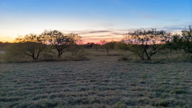 T B D Farm To Market Road 3049, Blum, TX 76627 - photo 2