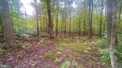 0 Cliff Ln, Bluemont, VA 20135 - photo 3