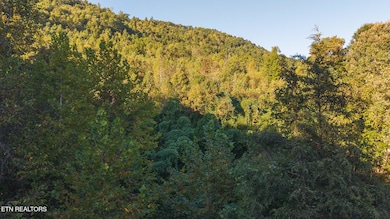 0 Black Valley Rd unit 1322140, Sneedville, TN 37869 - photo 2