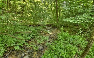 0 52 E, Ellijay, GA 30540 - photo 3