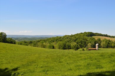 DSC_0035 (2)