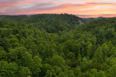 24-web-or-mls-DJI_0069 copy