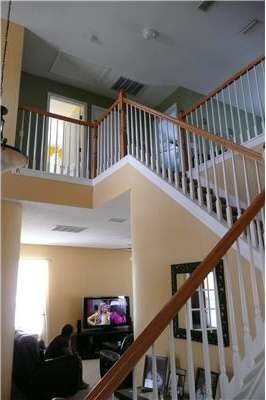 10138 Coldwater Loop, Land O Lakes, FL 34638 - photo 2