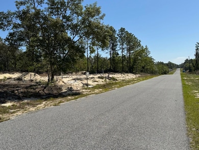 3563 W Eunice St, Dunnellon, FL 34433 - photo 5