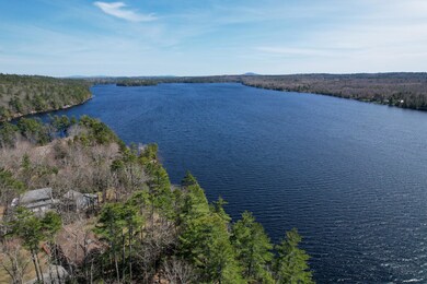 4 Toddy Pond