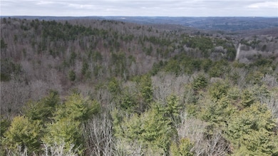 unlisted-address, Lindley, NY 14858 - photo 6