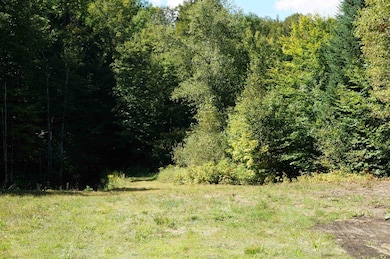 452 Vertical Mile Rd, Sheffield, VT 05851 - photo 6