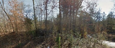 Facing south west from Rt 60