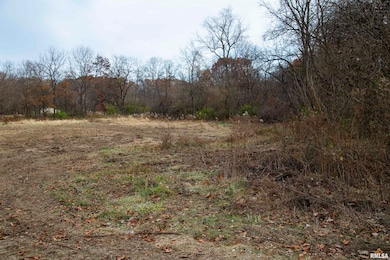 0000 W Smithville Rd, Trivoli, IL 61569 - photo 6