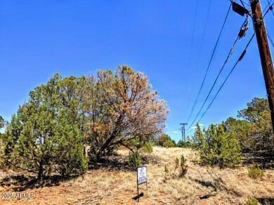 1939 Daggs Cir unit 24, Show Low, AZ 85901 - photo 5