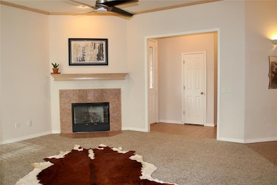 Living room unfurnished