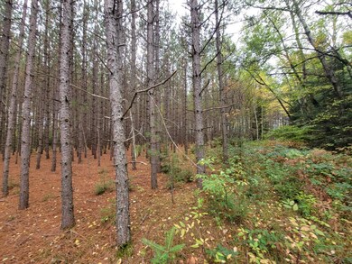 ON Cth B unit Lot 3, Antigo, WI 54424 - photo 7