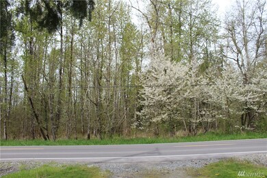 unlisted-address, Graham, WA 98338 - photo 2