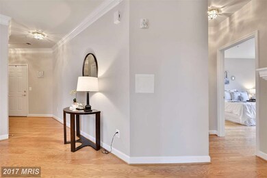 1501 Broadneck Place unit 4-301, Annapolis, MD 21409 - photo 5