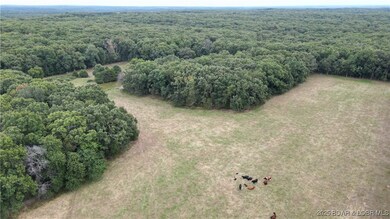 20225 Luetjen Ave, Cole Camp, MO 65325 - photo 2