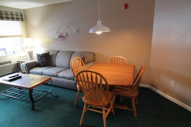 160 Deer Park Dr unit 146 C, Woodstock, NH 03262 - photo 4