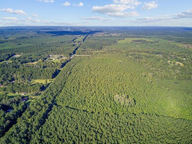 00 Summer Dr unit 4, Ridgeville, SC 29472 - photo 5