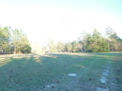 944 Conway McDonald Rd, Tarrytown, GA 30470 - photo 3