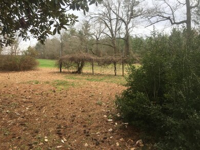 4948 Rosebud Church Rd, Elm City, NC 27822 - photo 4