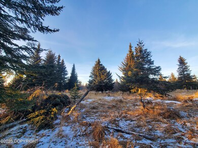 17573 Chefornak St, Happy Valley, AK 99639 - photo 4