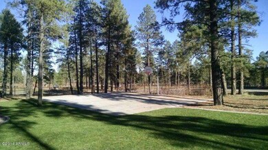 Park Basketball Court