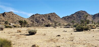 8000 Wesley Rd, Joshua Tree, CA 92252 - photo 4