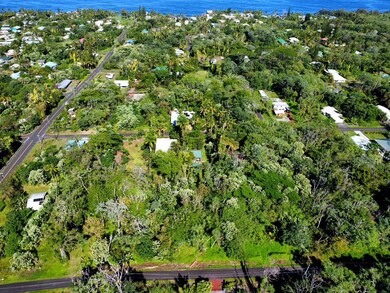 0 Oopu St unit 726165, Hawaiian Beaches, HI 96778 - photo 3