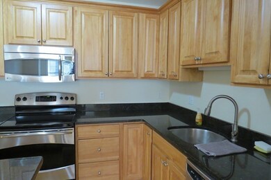 15 Summer St unit 203, Franklin, MA 02038 - photo 4