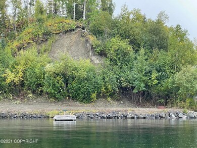image_50415361