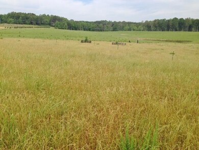 Pasture 