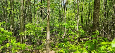 0 Tootley Campbell Rd, Monteagle, TN 37356 - photo 3